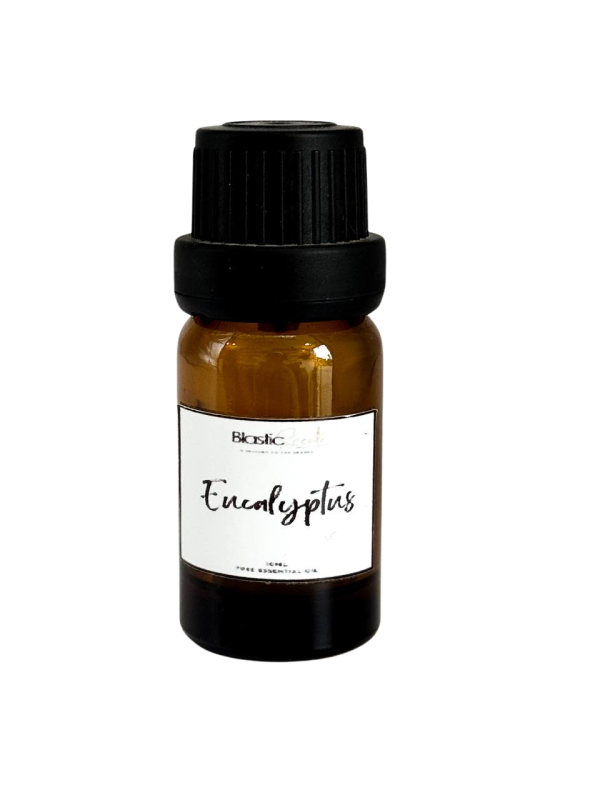 Eucalyptus